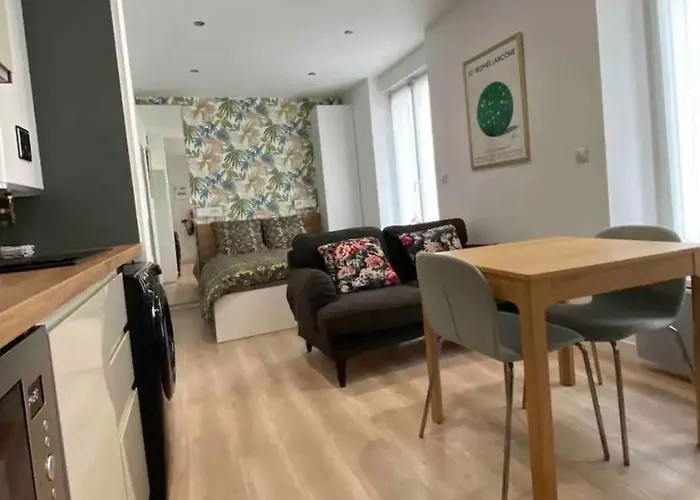 Studio 25M2 Avec Parking Prive - Lycee Roosevelt - Arena - Gare